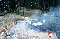 сон в летнюю ночь